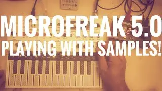 MicroFreak Update 5.0 - How does it sound? (37 min. improvised playing feat. PO 33)