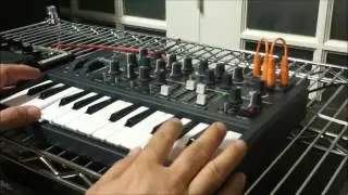 MicroBrute Dark Ambient & Boss Space Echo Self-Oscillation