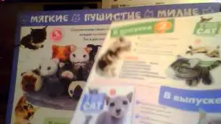 The cat collection выпуск 1
