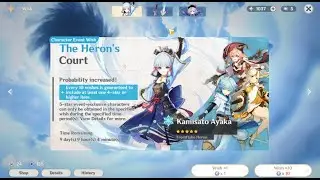 My next pull (Ayaka Banner Vs Standart Banner)