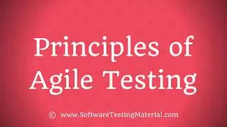 12 Principles of Agile Software Development