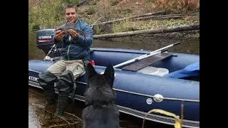 Рыбалка Хариус Осень  !!Покатушки  водомет .отличный сезон)