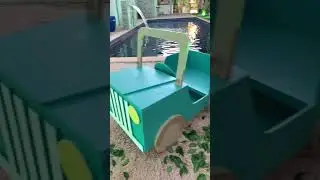 Decoração safari