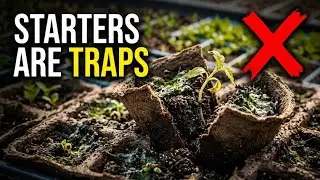 The Surprising Reason Prefilled Seed Starters Are NOT for Beginners