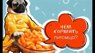 Питание животных