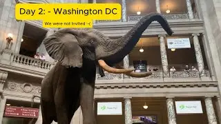 Day 2: - Trip to Washington DC