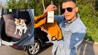 Установка автомобильного гамака для собак от 