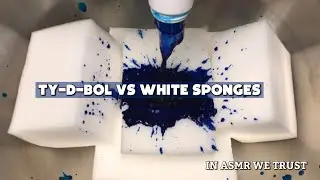 ASMR 🤍 Ty-D-Bol vs White Sponges 🤍 Will it stain??? 😯 The Ultimate Stain Test | 1080p