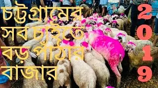সাগরিকা পাঁঠা ছাগলের বাজার ২০১৯🐑🐏🐐 #bakramandi #bakra #pathachagol #sagol #patha #chagol