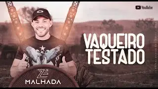 Vaqueiro Testado Zé Malhada Forrozão Atualizado 2024