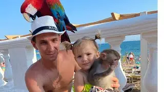 Катя и ее первая поездка на море с мамой и папой! Видео для детей!