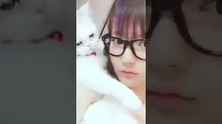 pasrah kucing nya 