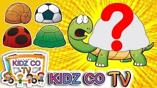 HI KIDS help the TURTLE to find her SHELL/@kidzcoofficial /Learning videos for kids #new #viral