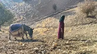 A documentary of nomadic life with only four children to gather acorns