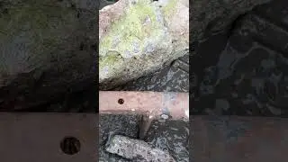 Шестерка влезла почти целиком🤣 