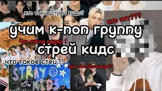 учим к-поп группу Стрей Кидс♡