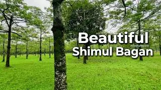 Shimul Bagan, Badaghat, #Sunamganj #Sylhet