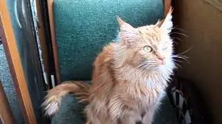 MOV01119