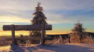 Снег. О, как я жду тебя! Надежда Тэффи. (слушать стихи о любви)