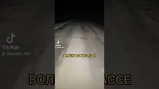 ВОЛК НА ТРАССЕ 