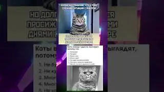 #мем #меме #мемы_тикток #мемы2023 #кот #коты #котыприколы #мемас #котики #мемасы