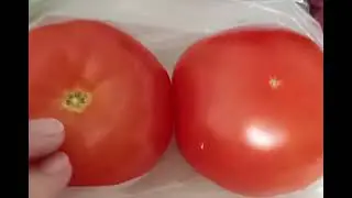 Мой день, что он нам принесёт???
