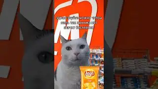 кот решил обмануть продавца! 😰 #рекомендации #shorts