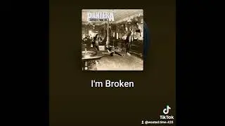 PANTERA - IM BROKEN