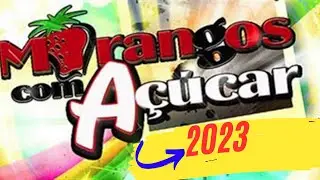 Morangos com Açúcar 2023: Conhece agora o incrível elenco revelado pelo Prime Video, surpreende-te!