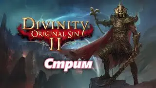 Стрим по Divinity Original Sin 2!