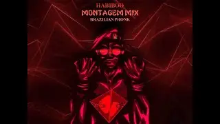 MONTAGEM « BRAZILIAN PHONK » MIX