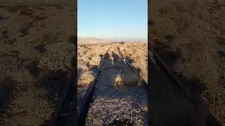 Chasing our shadow