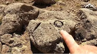 The moment of finding treasure