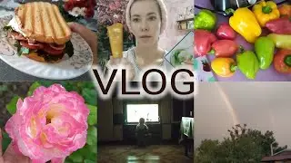 VLOG/ Уход за лицом/ Завтрак/ Заморозка/