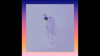 HOLLYWOOD-WhyBaby?