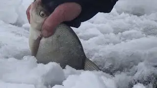 Fishing for the devil on the RUZ Reservoir. 8-12 kg of BREAM. Bream tore the line from Uncle Kolya.
