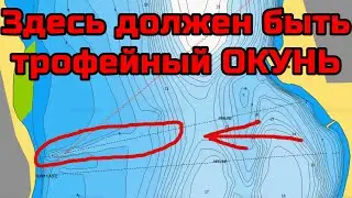 Мой новый РЕКОРД по зимнему ОКУНЮ. Окунь на балансир.