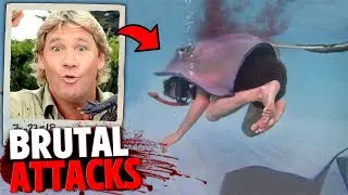 These 3 Celebrities Were Attacked & Killed By Deadly Animals!