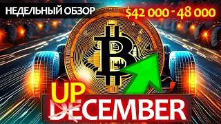 Ралли на крипторынке, ждать ли продолжение? Биткоин в накоплении, какие альты дадут иксы?