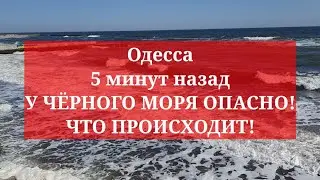 Одесса 5 минут назад. У ЧЁРНОГО МОРЯ! ЧТО ПРОИСХОДИТ!
