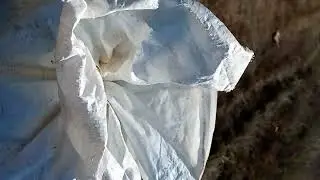 путешествуем  с петухом  в мешке