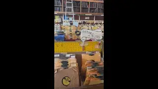 Early Blues 78s For Sale at Vintage Music Company, Minneapolis #shorts