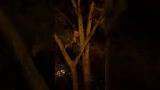 Дюня прячется от мусоров часть 1.