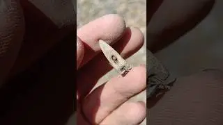 2000 let stará střela se zpětnými háčky najitá detektorem kovů #metaldetecting #metaldetector #hunt