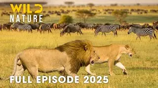 Wild Animals | THE LAST EDEN - Predators of Kafue| Wild Nature