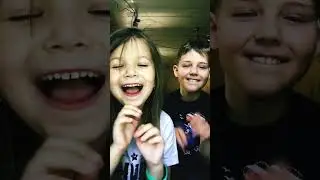 Имотцые моей кошки