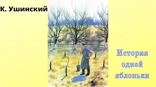 Можно ли на дикой лесной яблоне вырастить большие, румяные, сладкие яблоки.