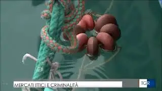 Indagine sulla pesca5