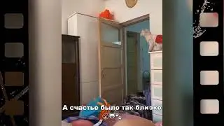 СМЕХ приколы людей и животных 9