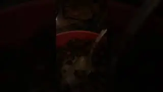 My fuckin cereal bro 😭